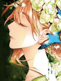 78动漫 齿轮少女 封面